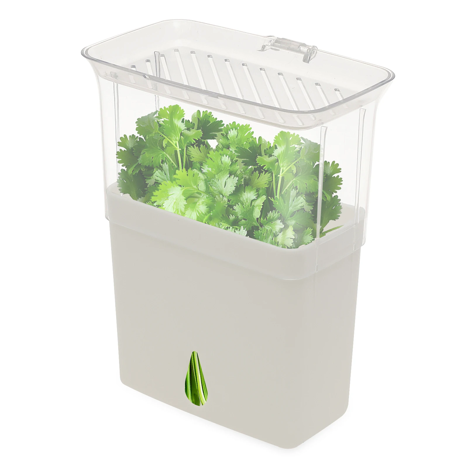 Herb Keeper Bottle - Wadah Penyimpanan Herba Segar Kedap Udara