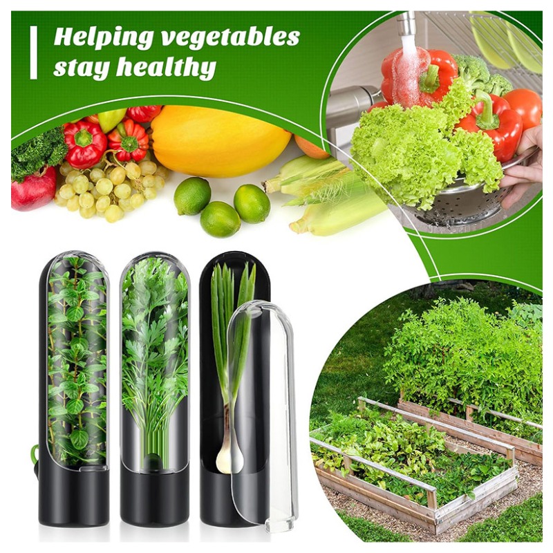 1/2/3PCS Wadah Penyimpanan Her - Herb Keeper Bottle ulasan dan harga