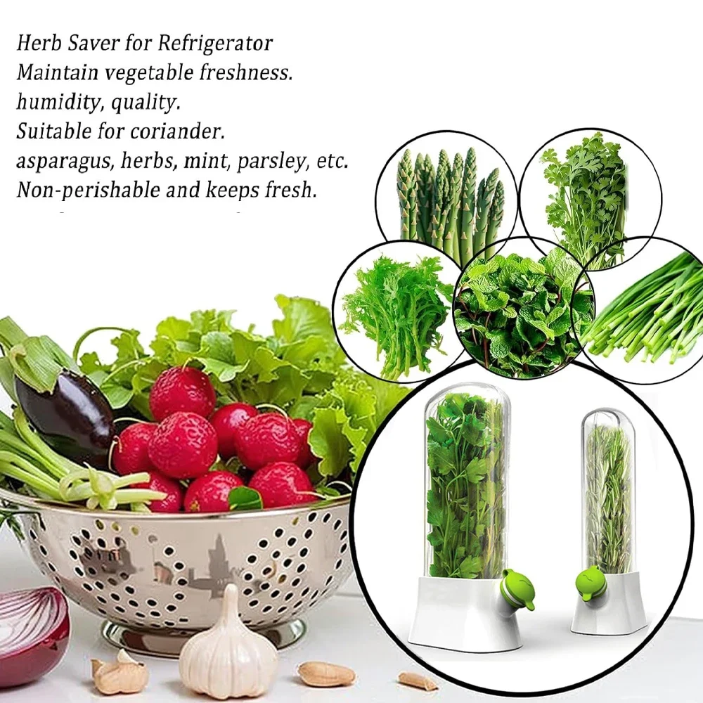 Wadah penyimpan tanaman herbal - Herb Keeper Bottle ulasan dan harga